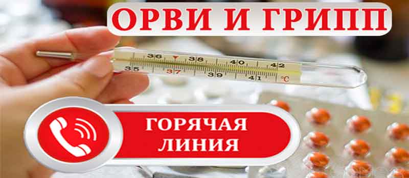 Открыта «горячая линия» по вопросам профилактики гриппа и ОРВИ