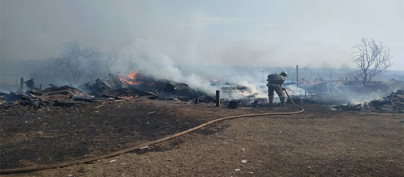 От пала травы сгорели восемь домов 
