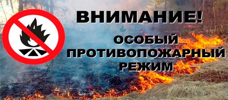 В 33 регионе вводится особый противопожарный режим
