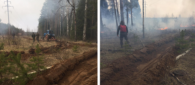 Распространение пожара удалось предотвратить 