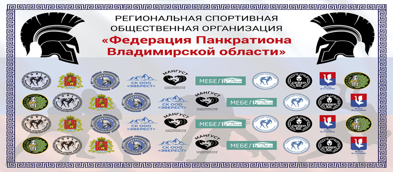 Первенство Владимирской области по панкратиону