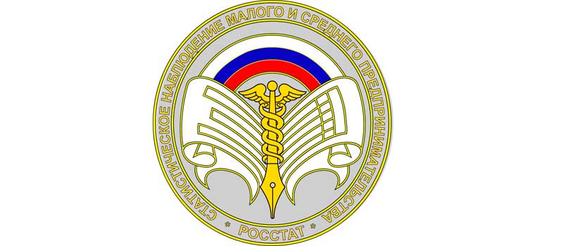 Сплошное наблюдение малого и среднего бизнеса за 2020 год