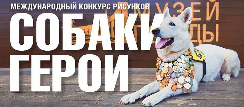 Рисунки жителей Владимирской области вошли в виртуальную выставку о фронтовых собаках 