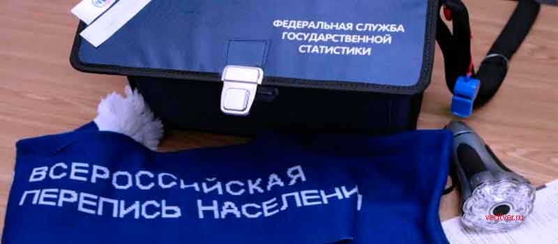 «Владимирстат» провел онлайн-брифинг на тему предстоящей Всероссийской переписи
