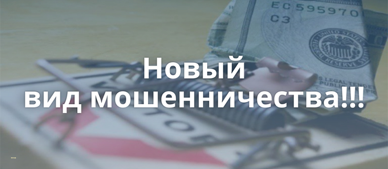 Владимирцы могут узнавать о новых сценариях мошенников на сайте Банка России