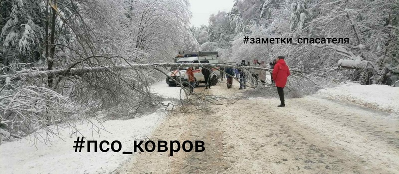 Дерево перегородило дорогу на Зарю