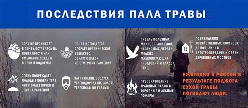 Во Владимирской области регистрируются ландшафтные пожары, нарушителей наказывают 
