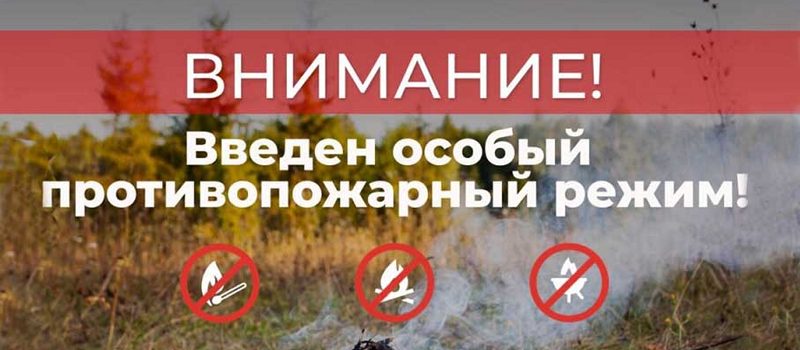 Вновь введён особый противопожарный режим