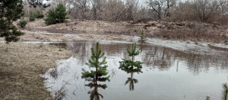 Уровень воды в Клязьме снизился. Хорошая новость для Заречной Слободки?