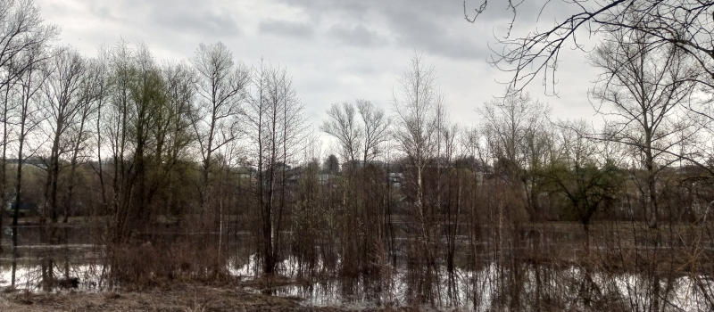 Уровень воды в Клязьме у Коврова за сутки упал еще на десять сантиметров