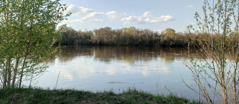 Уровень воды в Клязьме у Коврова четвертый день составляет 231 сантиметр