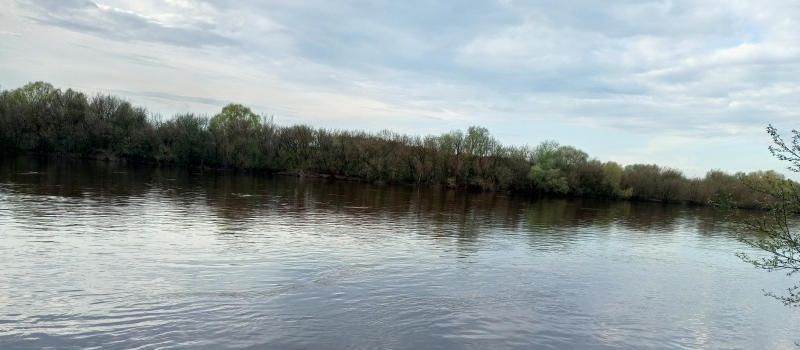 Уровень воды у Коврова снизился, составив 217 сантиметров